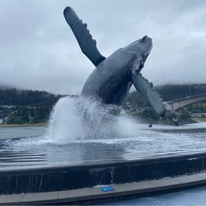 Meet your Posher, Kat